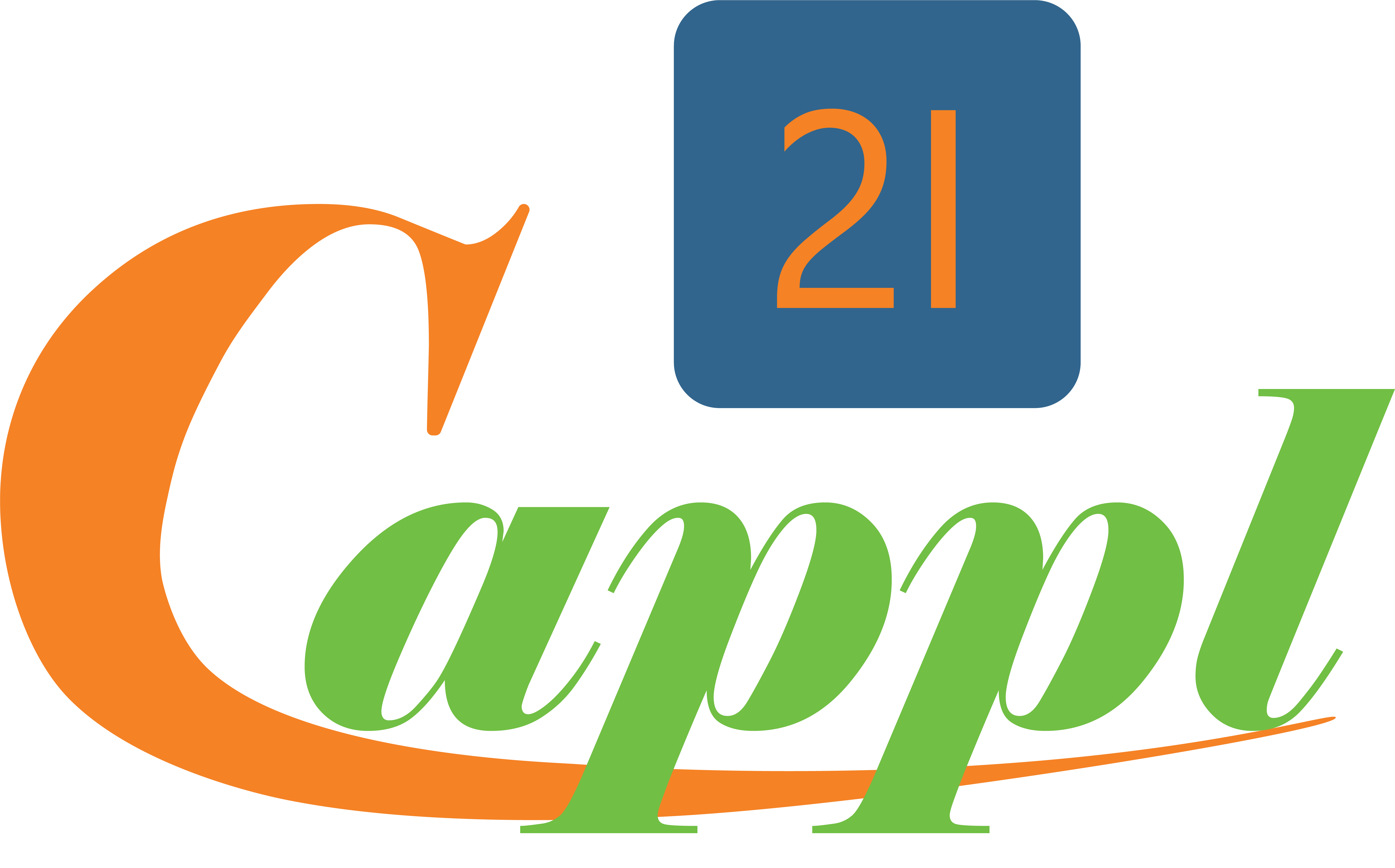 Cappl21 Team Support & Consulting Services